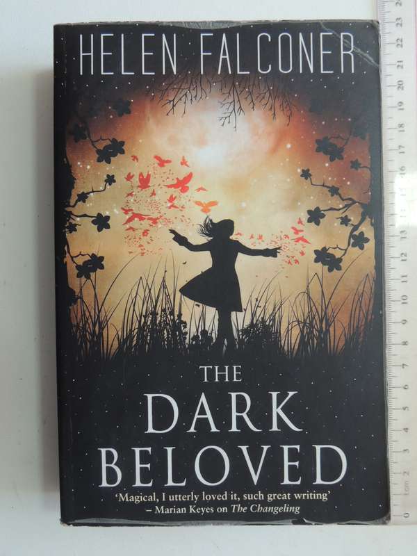The Dark Beloved - Helen Falconer