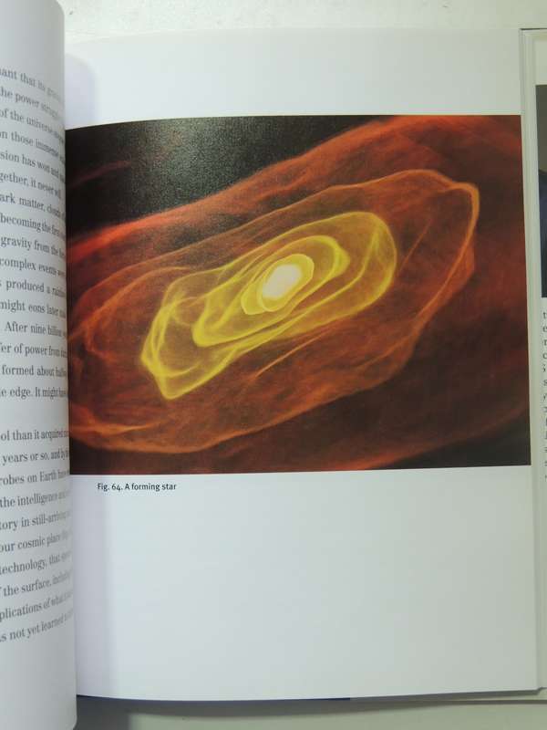 The New Universe & The Human Future: How A Shared Cosmology Could Transform The World - Nancy Ellen