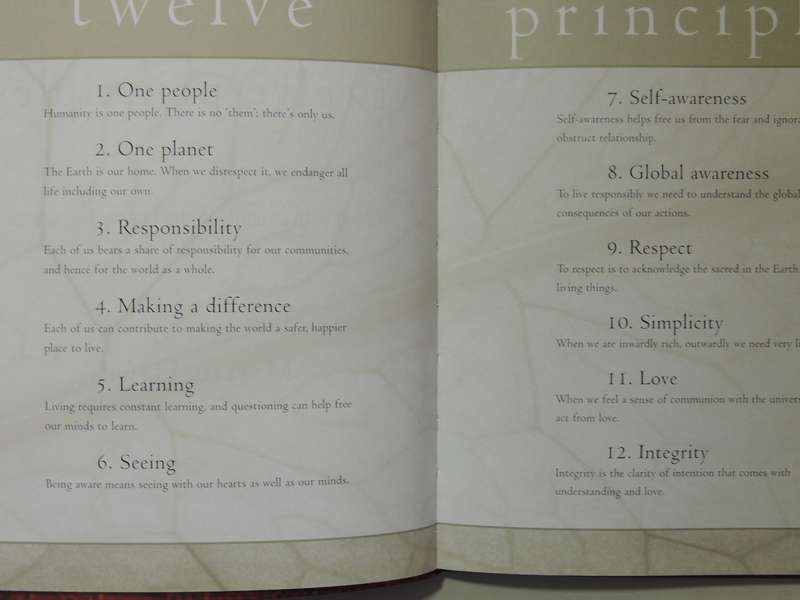 Twelve Principles: Living With Integrity In The Twenty-First Century- Martin Hawes