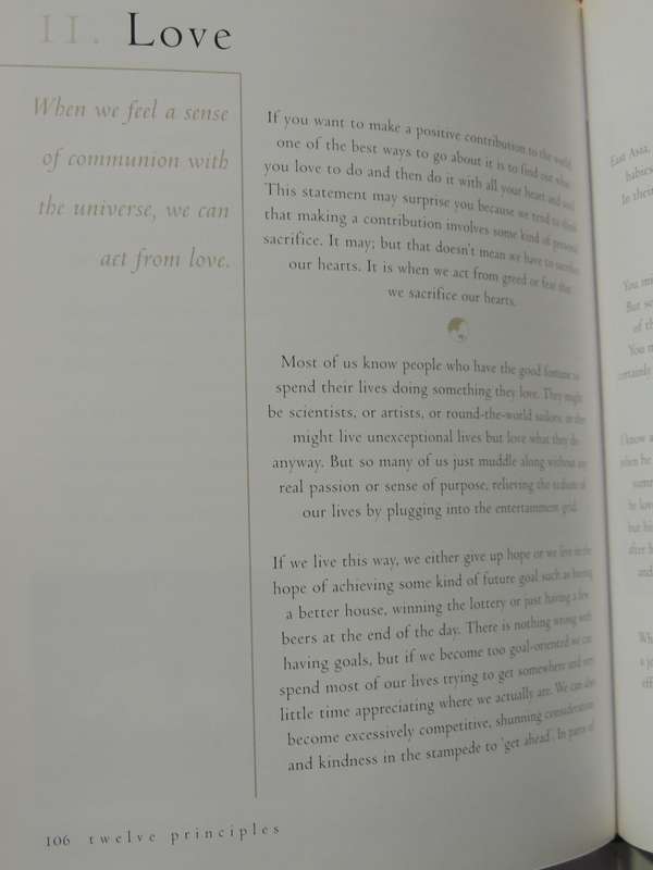 Twelve Principles: Living With Integrity In The Twenty-First Century- Martin Hawes