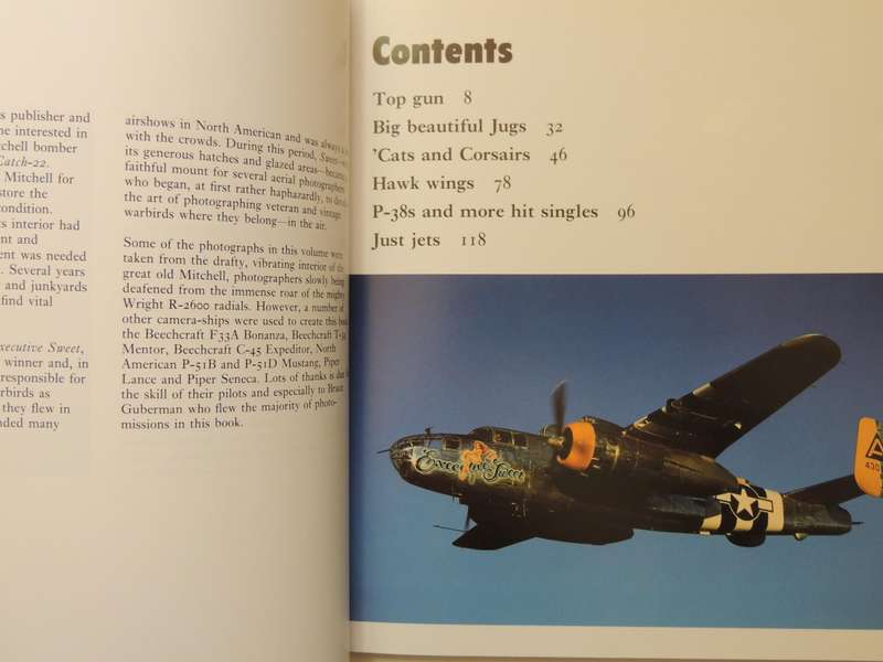 Gunfighters: Airworthy Fighter Airplanes Of WW 2 And Korea -  Michael O'Leary