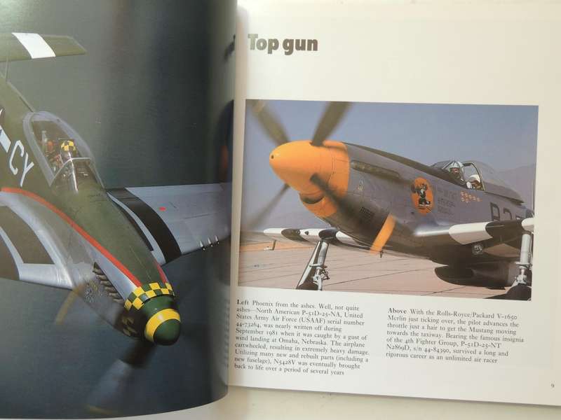 Gunfighters: Airworthy Fighter Airplanes Of WW 2 And Korea -  Michael O'Leary