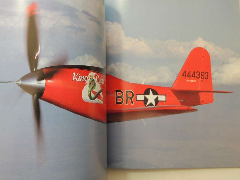 Gunfighters: Airworthy Fighter Airplanes Of WW 2 And Korea -  Michael O'Leary