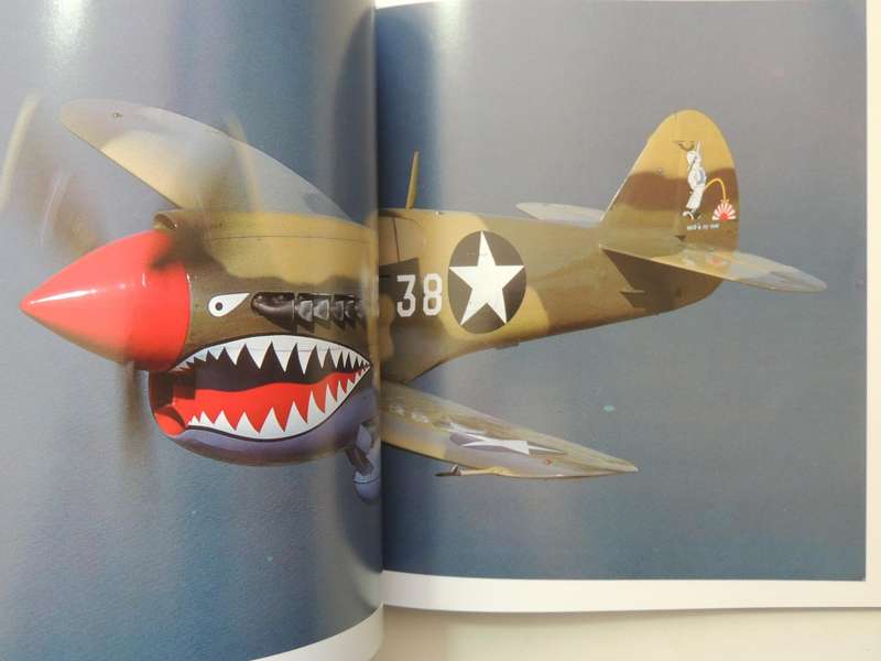 Gunfighters: Airworthy Fighter Airplanes Of WW 2 And Korea -  Michael O'Leary