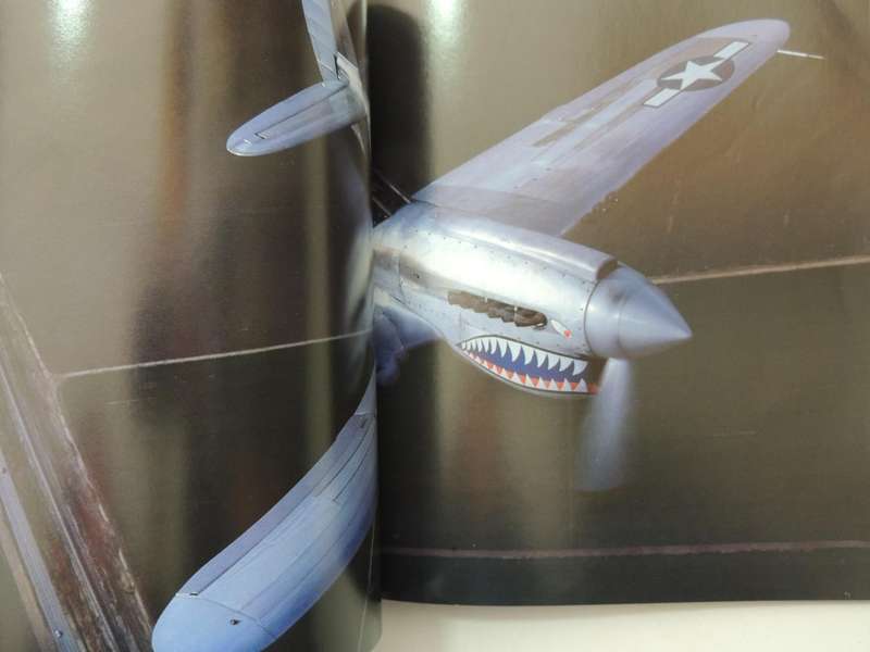 Gunfighters: Airworthy Fighter Airplanes Of WW 2 And Korea -  Michael O'Leary