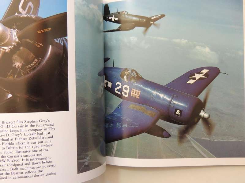 Gunfighters: Airworthy Fighter Airplanes Of WW 2 And Korea -  Michael O'Leary