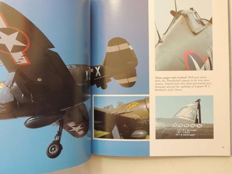 Gunfighters: Airworthy Fighter Airplanes Of WW 2 And Korea -  Michael O'Leary