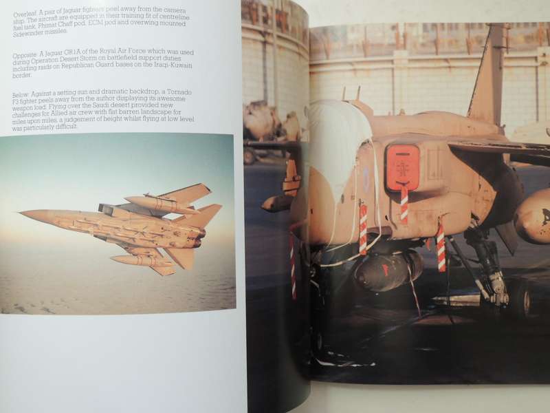 Desert Fist: Allied Airpower For Desert Storm, A Pilot's View - Ian Black