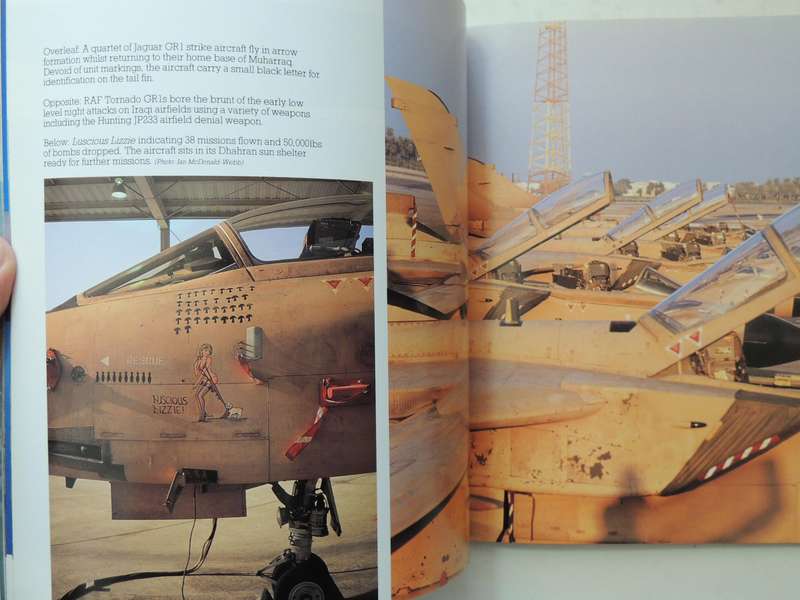 Desert Fist: Allied Airpower For Desert Storm, A Pilot's View - Ian Black