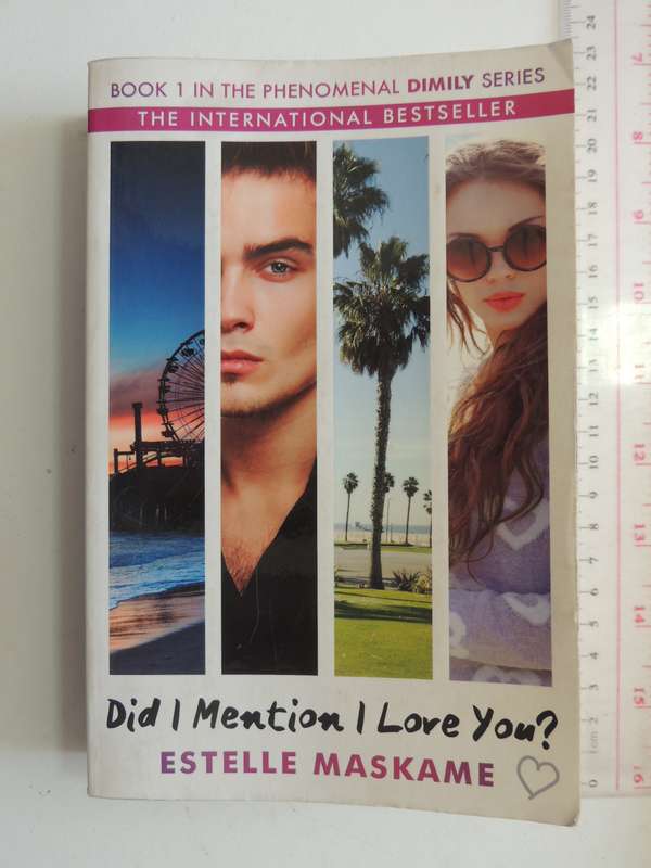 Did I Mention I Love You - Dimily Series Book 1 - Estelle Maskame