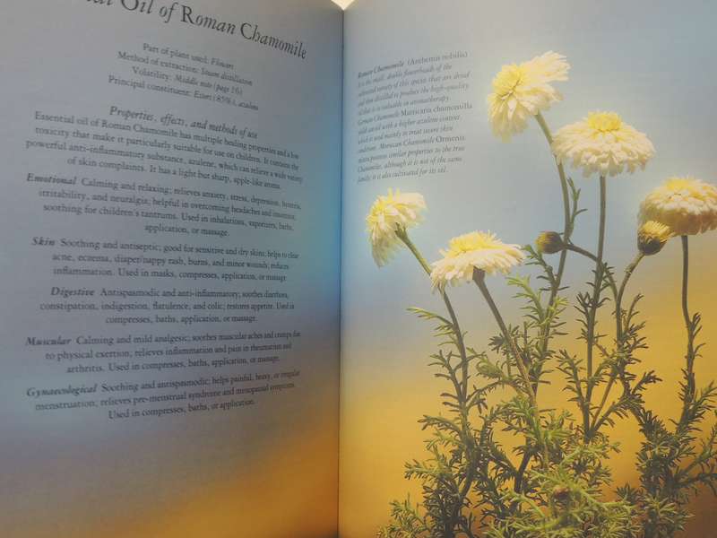 Aromatherapy For Common Ailments - Shirley Price