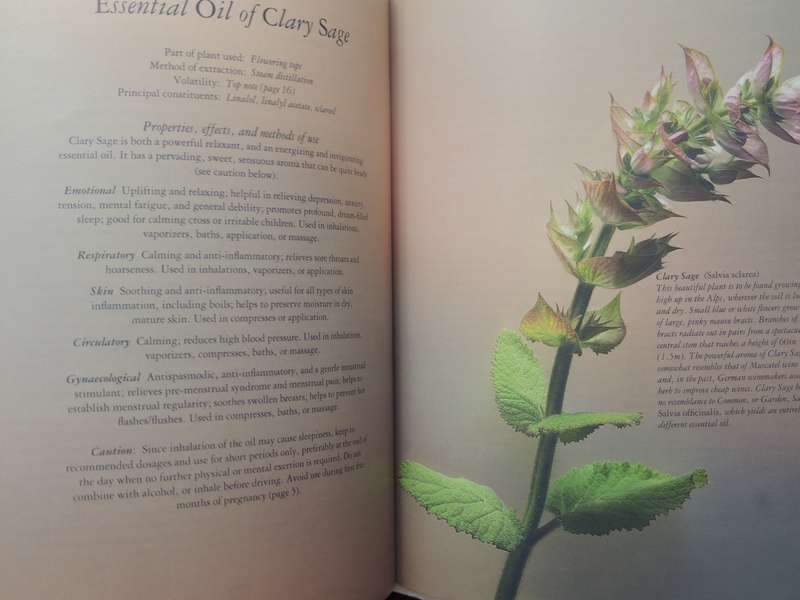 Aromatherapy For Common Ailments - Shirley Price