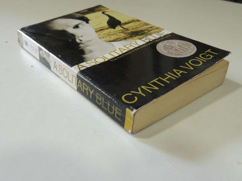 A Solitary Blue: Tillerman Cycle Book 3- Cynthia Voigt