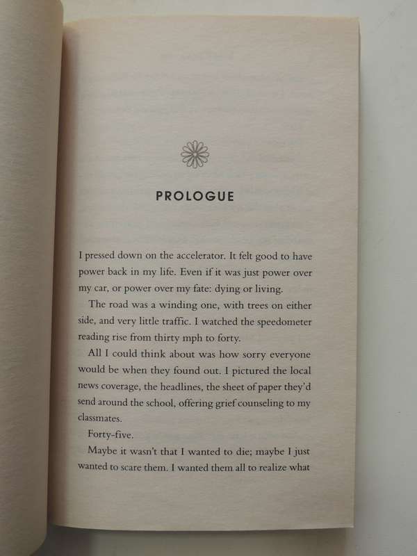 Here Lies Bridget - Paige Harbison