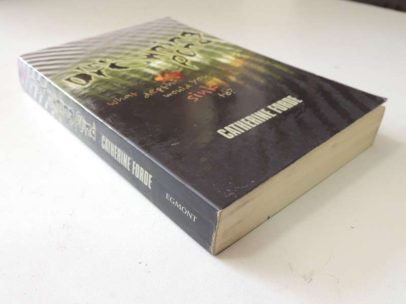 The Drowning Pond - Catherine Forde