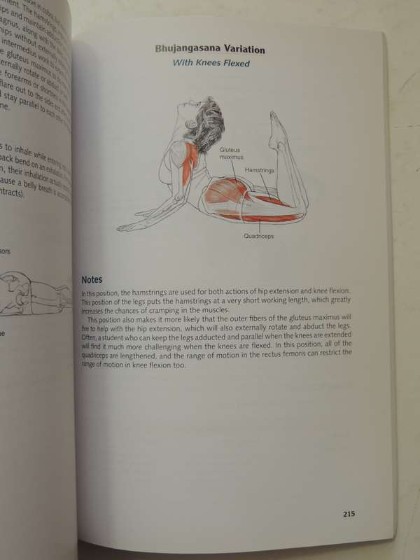 Yoga Anatomy - Leslie Kaminoff & Amy Matthews