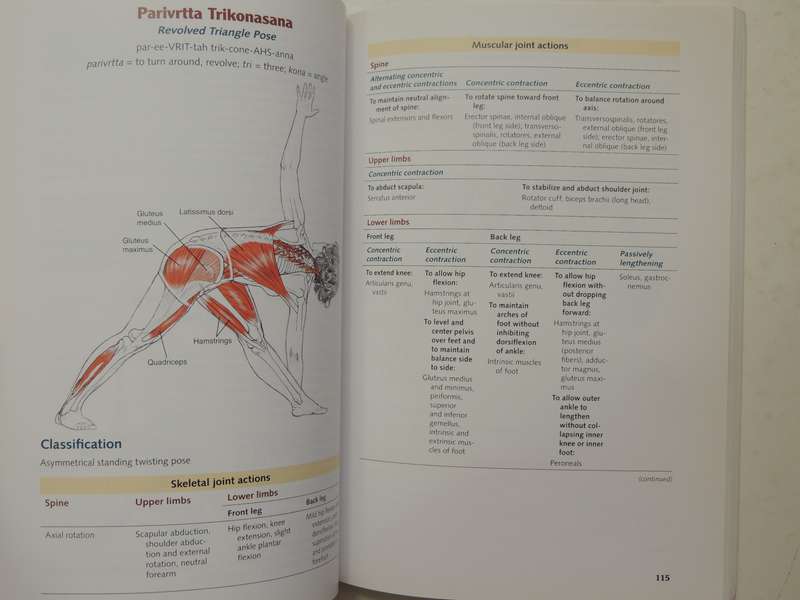 Yoga Anatomy - Leslie Kaminoff & Amy Matthews