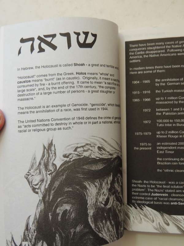 The Holocaust: A Graphic Guide - Haim Bresheeth, Stuart Hood & Litza Jansz