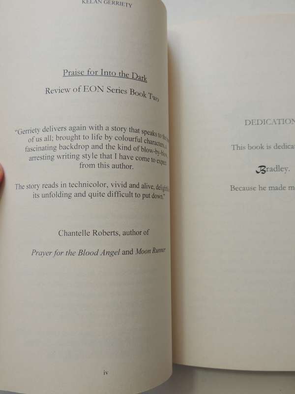 Into The Dark - Kelan Gerriety