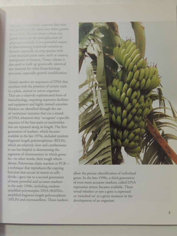 Modifying Africa:Biotechnology Can Benefit The Poor & Hungry, Case Study From Kenya Florence Wambugu