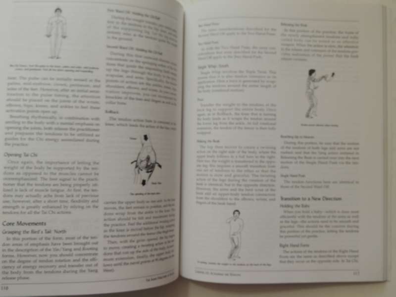 The Inner Structure Of Tai Chi: Tai Chi Chi Kung IMantak Cia & Juan Li