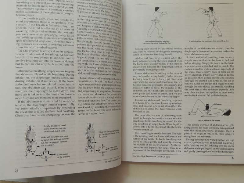The Inner Structure Of Tai Chi: Tai Chi Chi Kung IMantak Cia & Juan Li