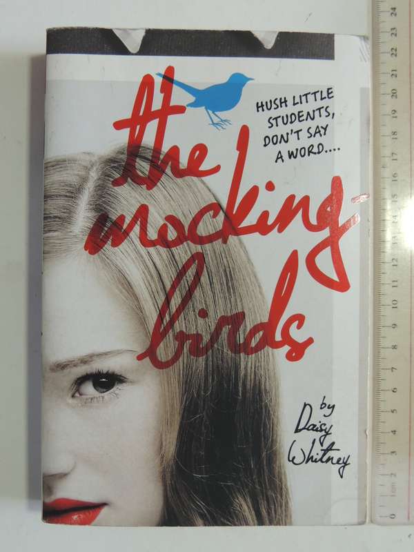 The Mockingbirds - Daisy Whitney