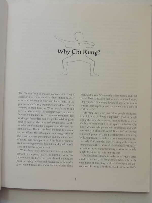 Chi Kung: The Chinese Art Of Mastering Energy - Yves Requena