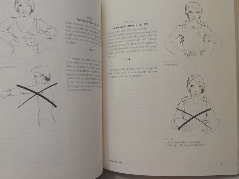 Chi Kung: The Chinese Art Of Mastering Energy - Yves Requena