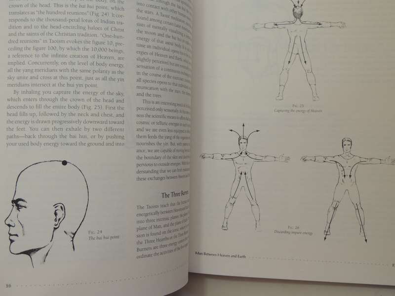 Chi Kung: The Chinese Art Of Mastering Energy - Yves Requena