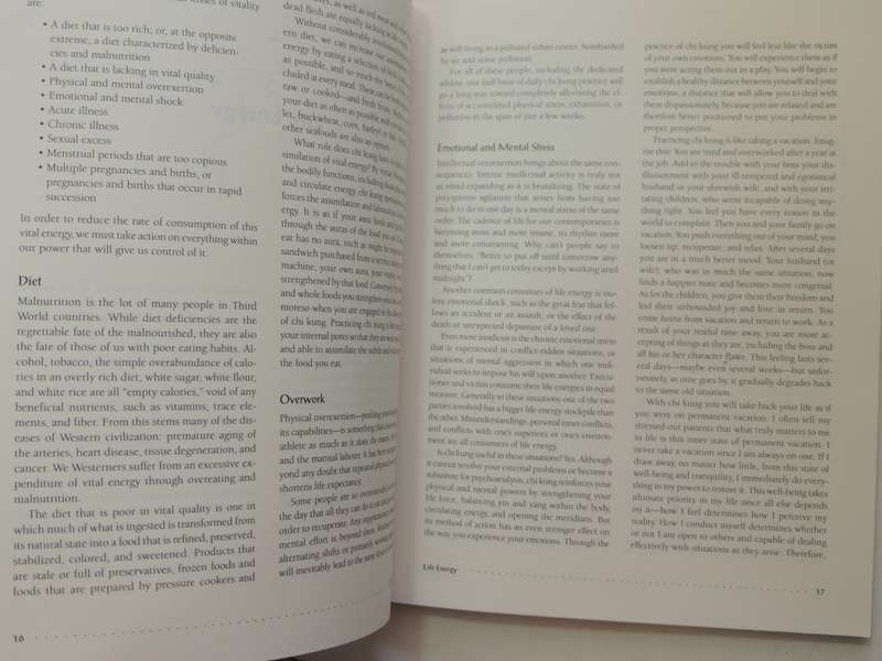 Chi Kung: The Chinese Art Of Mastering Energy - Yves Requena