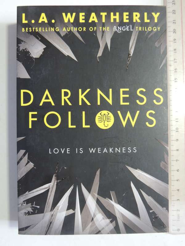 Darkness Follows - L.A. Weatherly