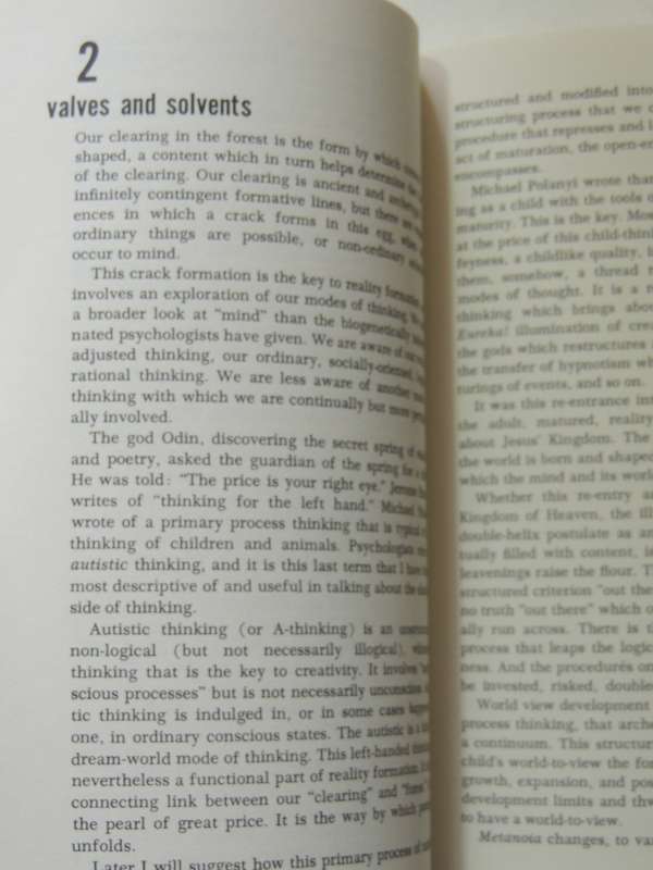The Crack In The Cosmic Egg: Challenging Constructs Of Mind and Reality - Joseph Chilton Pearce