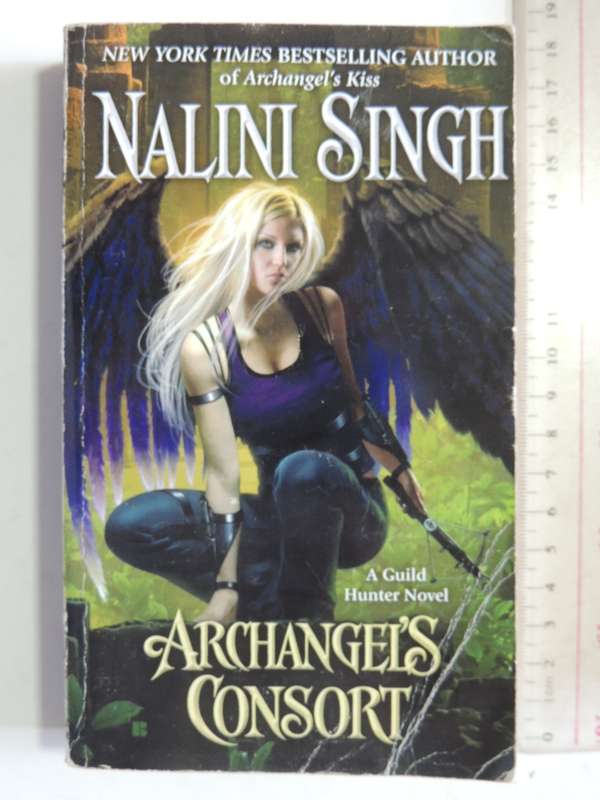 Archangel's Consort: Guild Hunter Book 3 - Nalini Singh