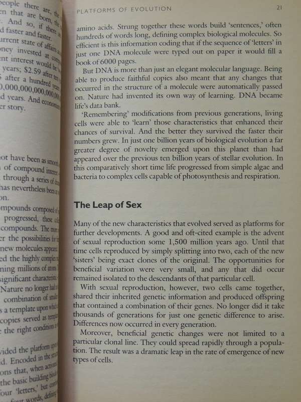 The White Hole In Time: Our Future Evolution And The Meaning Of Now - Peter Russell