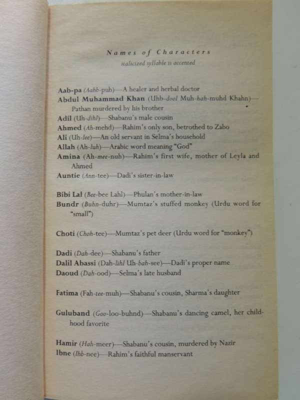Haveli - Suzanne Fisher Staples