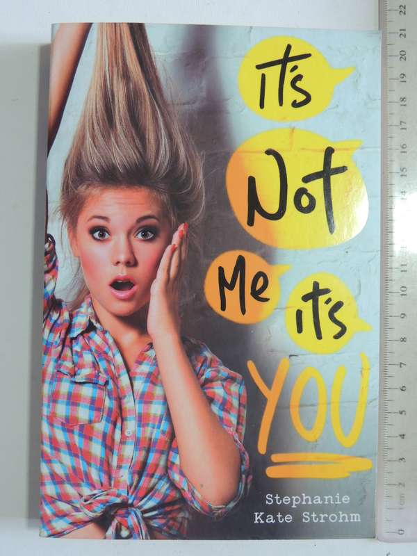 It's Not Me It's You - Stephanie Kate Strohm