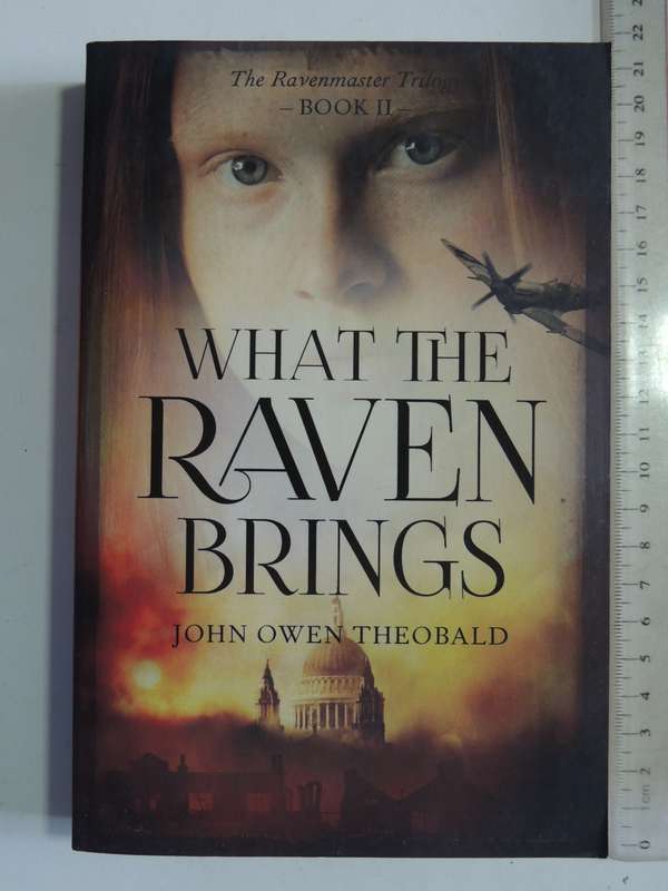 What The Raven Brings: The Ravenmaster Trilogy Book 2 - John Owen Theobald