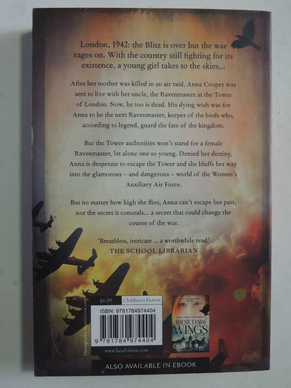 What The Raven Brings: The Ravenmaster Trilogy Book 2 - John Owen Theobald
