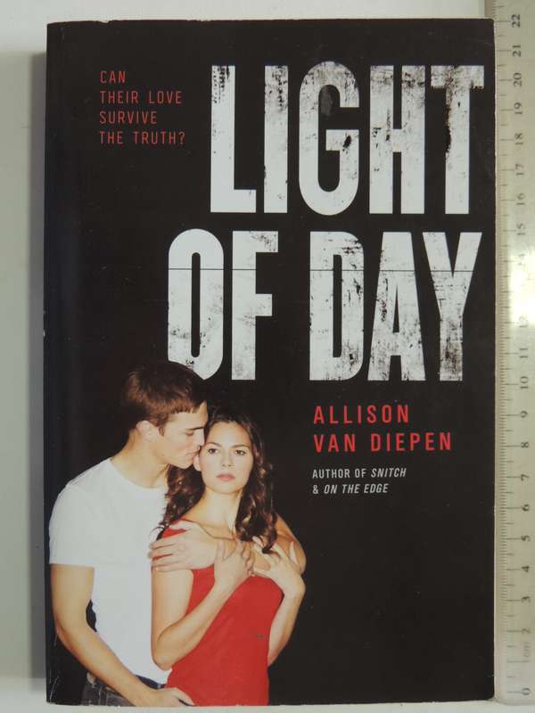 Light Of Day - Allison Van Diepen