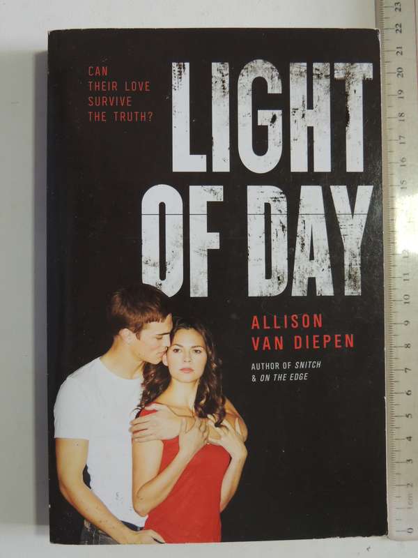 Light Of Day - Allison Van Diepen