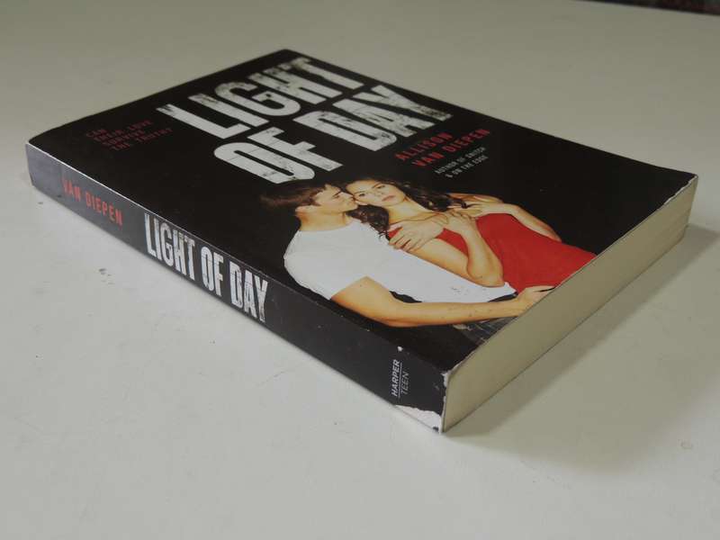 Light Of Day - Allison Van Diepen