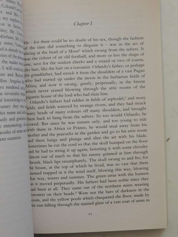 Orlando - Virginia Woolf