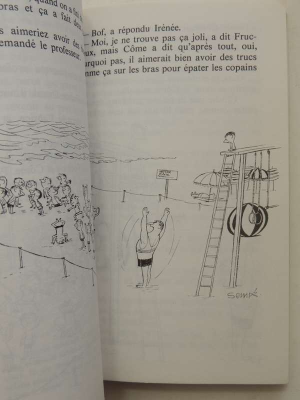 Les Vacances Du Petit Nicolas - Sempe & Goscinny     (French)