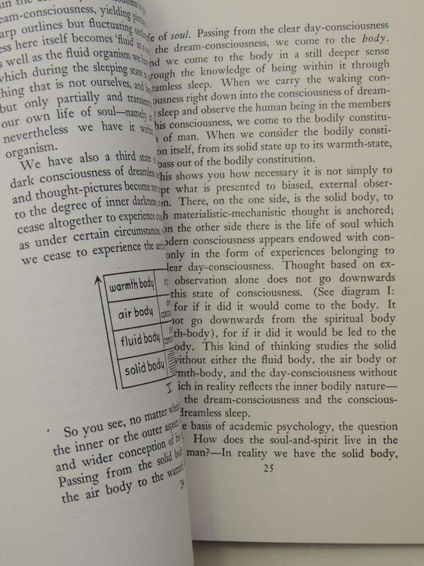 The Bridge Between Universal Sprirituality and the Physical Constitution of Man- Rudolf Steiner