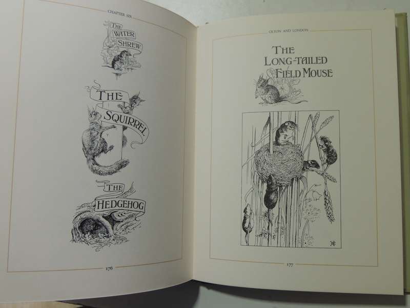 The Edwardian Lady: The Story Of Edith Holden - ed Ina Taylor