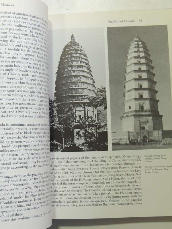 The Story Of Architecture - Patrick Nuttgens