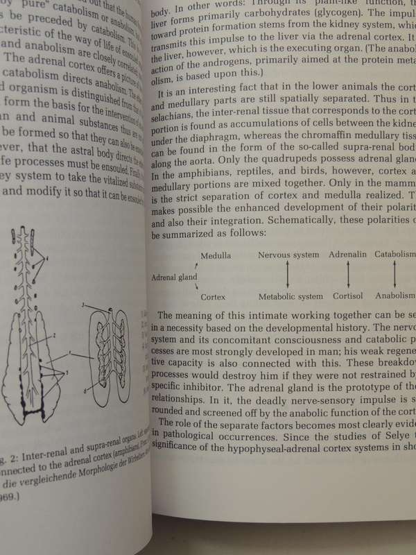 The Anthroposophical Approach to Medicine Vol 2 - Husemann, Wolff