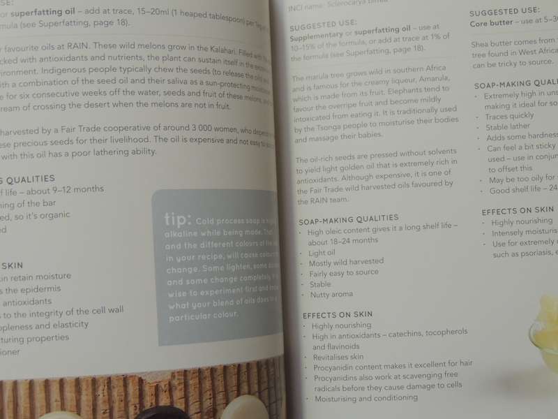 The Rain Book Of Natural Soap MakingBev Missing