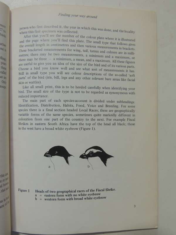 Aids To Bird Identification In Southern Africa - Gordon Maclean